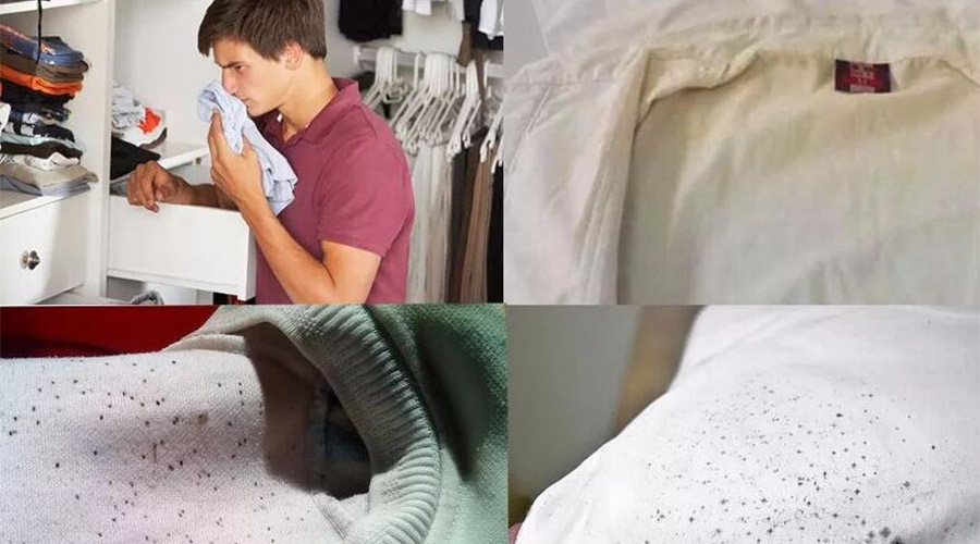 衣服護理小常識：潮濕天衣物有霉味不宜穿  該怎么辦？