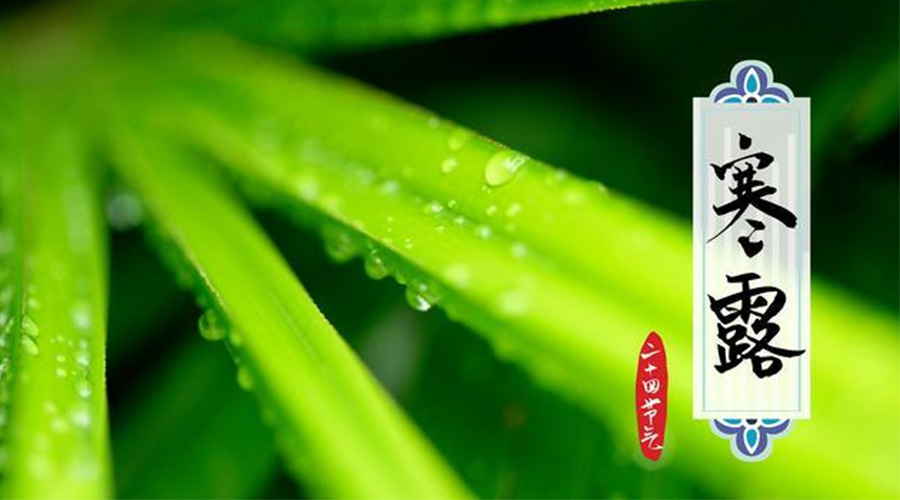 寒露時(shí)節到！金環(huán)電器提醒這些干衣事項要注意