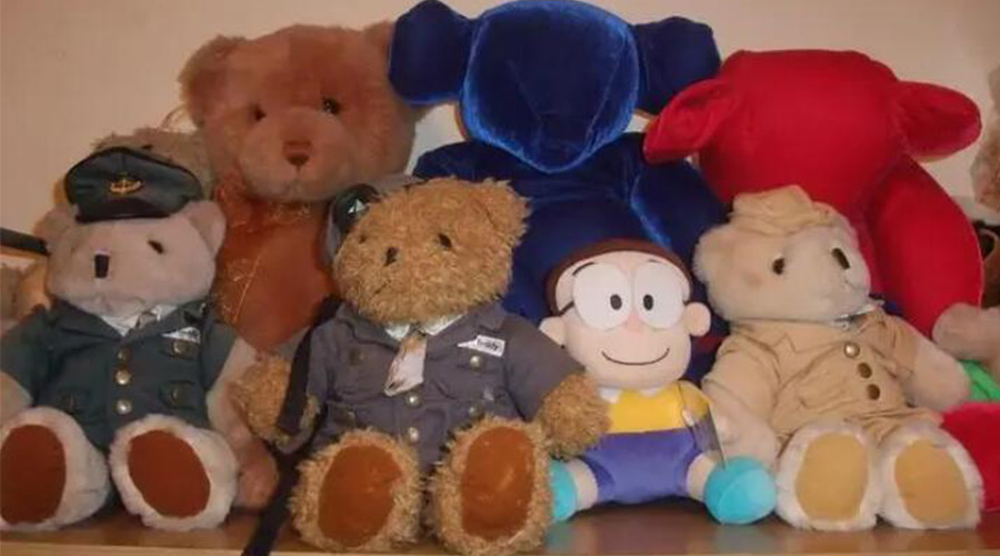 解答！毛公仔可以使用滾筒衣服烘干機除菌嗎