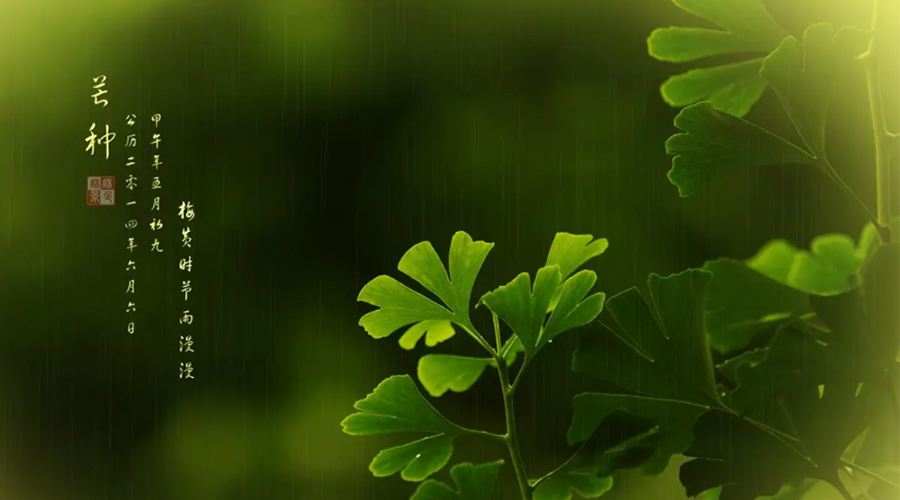 芒種時(shí)節！金環(huán)電器提醒大家的注意事項