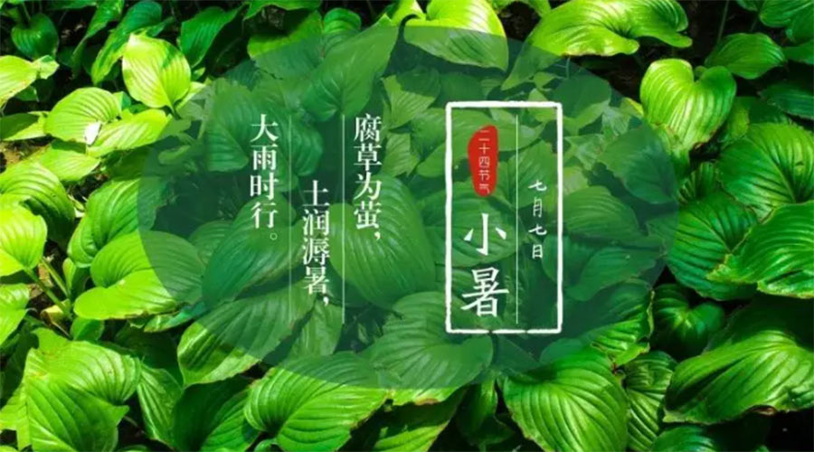 小暑時(shí)節來(lái)到！金環(huán)電器提醒大家要注意的事項