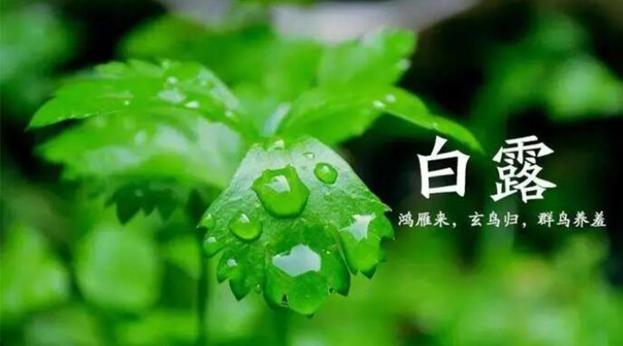 白露時(shí)節！金環(huán)電器提醒大家要注意的事項