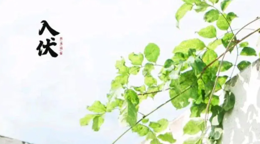 初伏時(shí)節！金環(huán)電器提醒大家要注意的事項