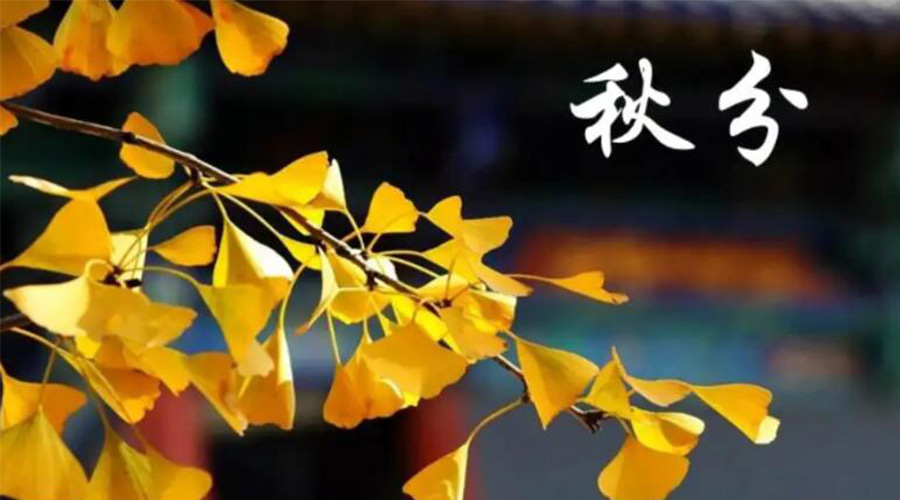 秋分時(shí)節！金環(huán)電器提醒大家要注意的事項