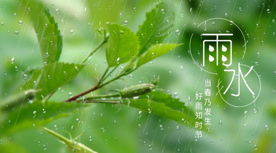 雨水時(shí)節！金環(huán)電器提醒大家要注意的事項