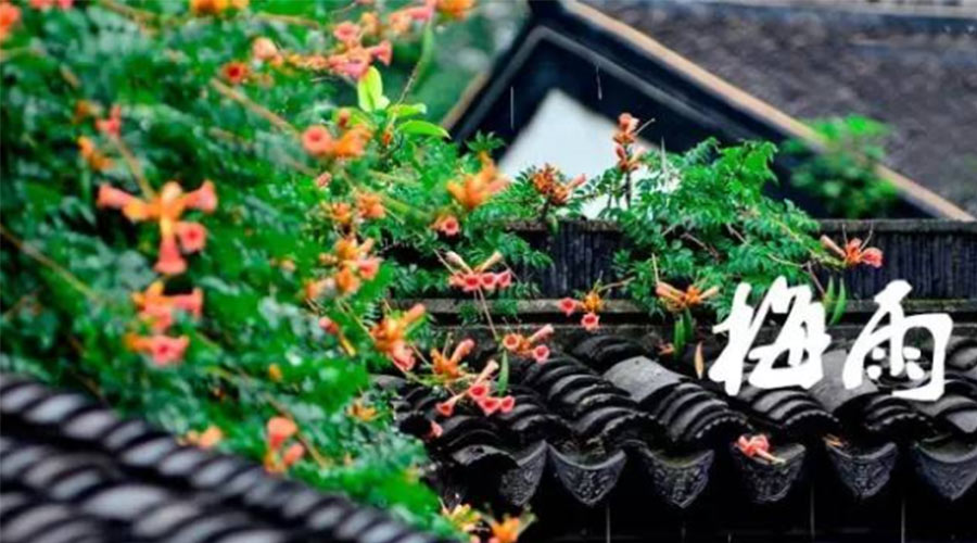 什么是梅雨？梅雨如何形成？  金環(huán)電器告訴你答案